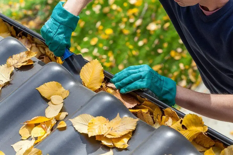 Clearing leaves from a clogged residential gutter