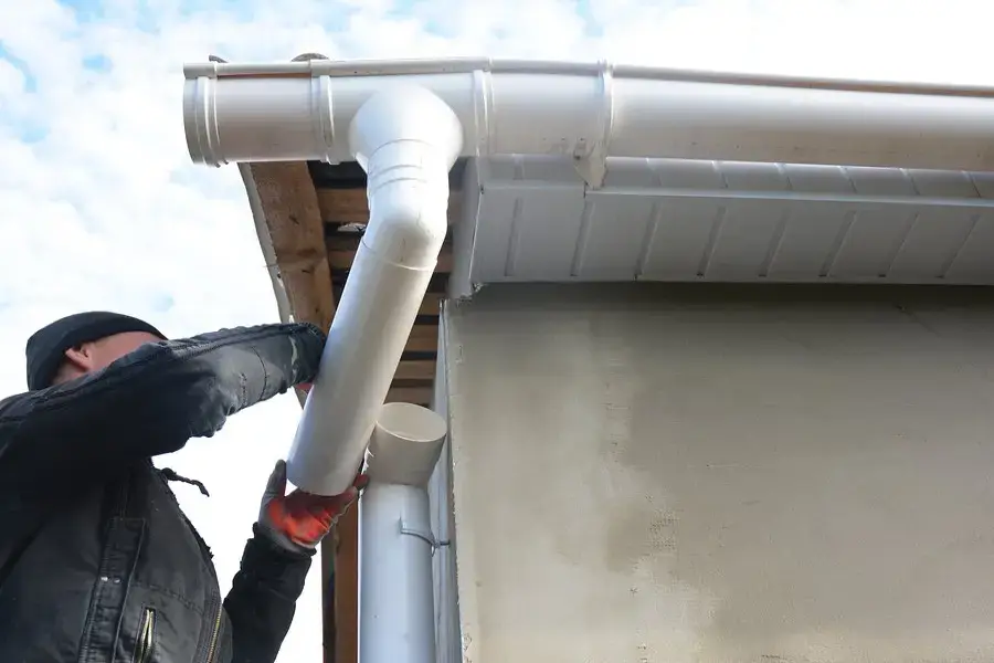 Mosquitoes, Wasps, and Other Clogged-Gutter Tenants